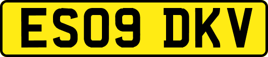 ES09DKV