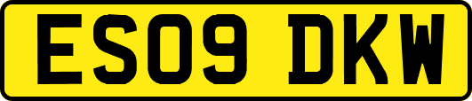 ES09DKW