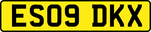 ES09DKX