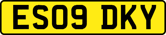 ES09DKY