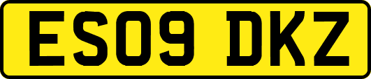 ES09DKZ