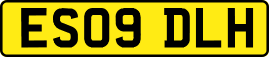 ES09DLH