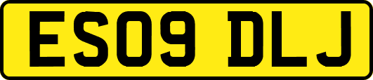 ES09DLJ