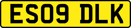 ES09DLK