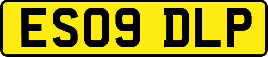 ES09DLP