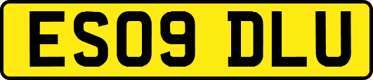 ES09DLU
