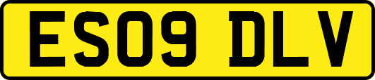 ES09DLV