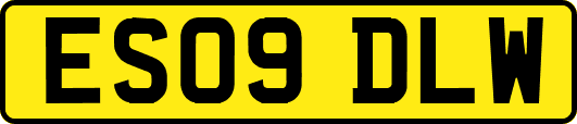 ES09DLW