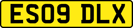 ES09DLX