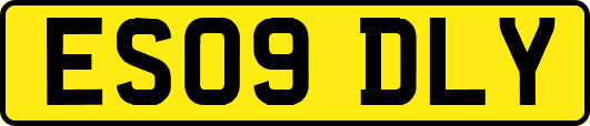 ES09DLY