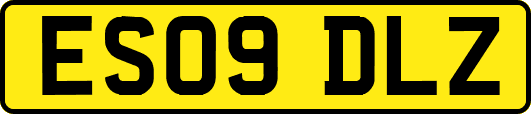 ES09DLZ