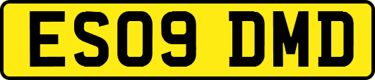 ES09DMD