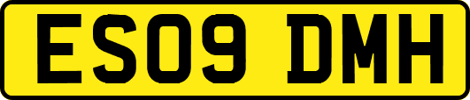 ES09DMH