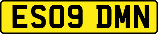 ES09DMN