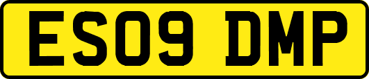 ES09DMP