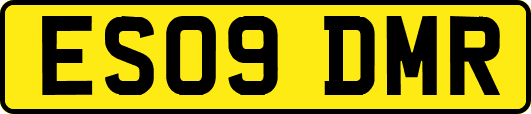 ES09DMR