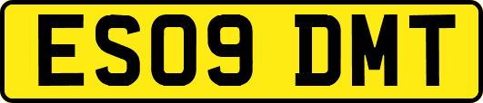 ES09DMT