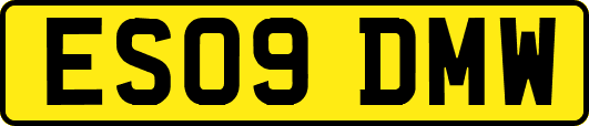 ES09DMW