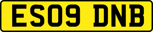 ES09DNB