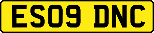 ES09DNC