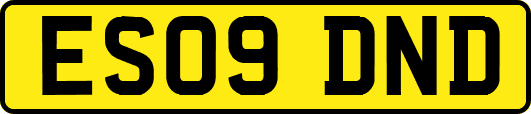 ES09DND