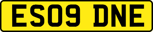 ES09DNE