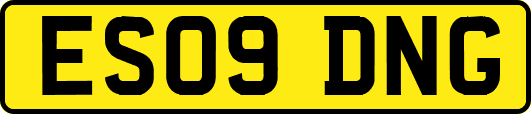 ES09DNG