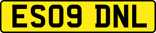 ES09DNL