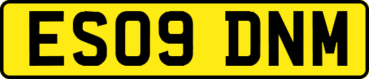 ES09DNM