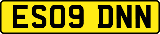 ES09DNN