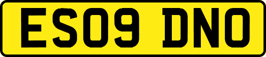 ES09DNO