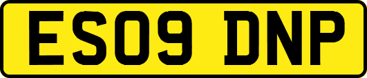 ES09DNP
