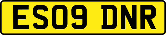 ES09DNR