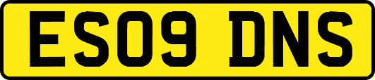 ES09DNS
