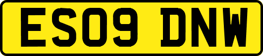 ES09DNW