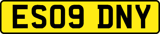 ES09DNY