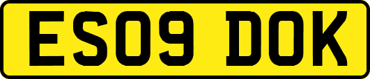 ES09DOK