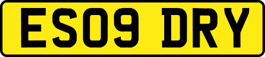 ES09DRY