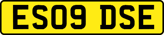 ES09DSE
