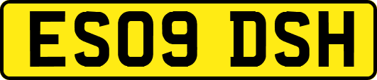 ES09DSH
