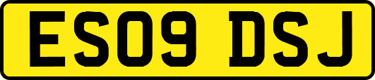 ES09DSJ