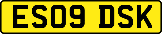 ES09DSK