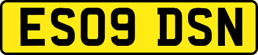 ES09DSN