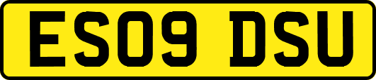ES09DSU