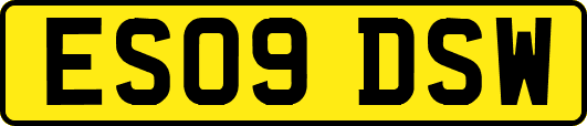 ES09DSW