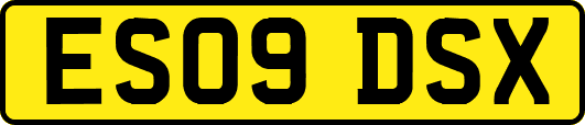 ES09DSX