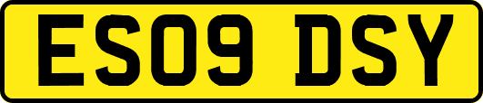 ES09DSY