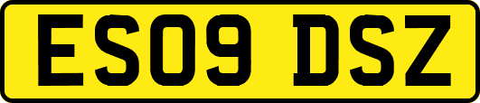 ES09DSZ