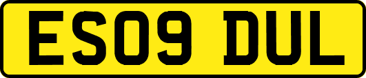 ES09DUL