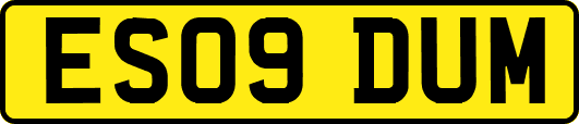 ES09DUM